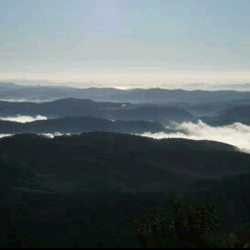 大平山いこいの森