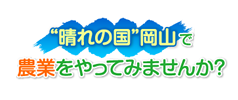 晴れの国おかやまで農業をやってみませんか