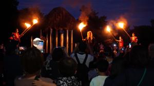 鬼伝祭の写真