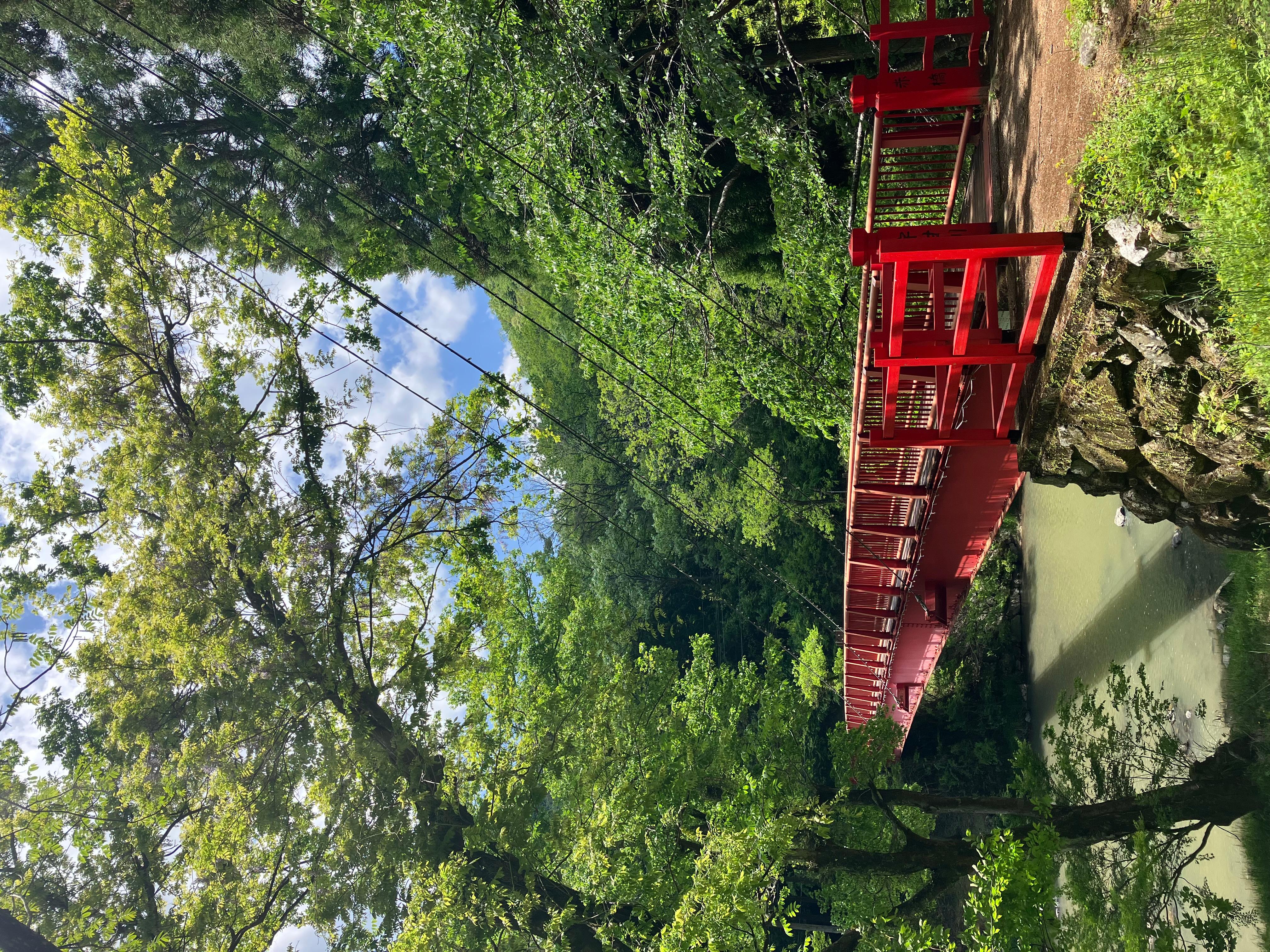 新緑に架かる赤橋