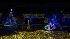 へそナリエ2025点灯式