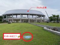 マンホールはここ！